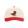 Baltimore Starlings Cream Primary Logo 5 Panel Gramps Hat